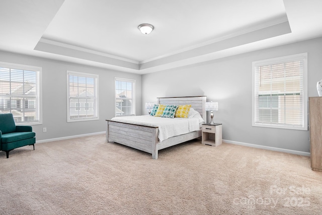 3038 Burnello Ct, Iron Station, NC 28080 - bedroom with a raised ceiling, ornamental molding, and carpet