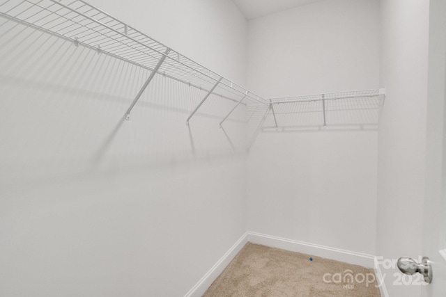 5175 Grand Canyon Rd, Concord, NC 28027 - walk in closet featuring carpet