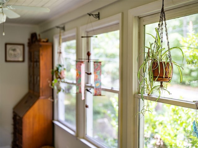 261 Forest Hill Dr, Asheville, NC 28803 - detailed view of a ceiling fan and ornamental molding