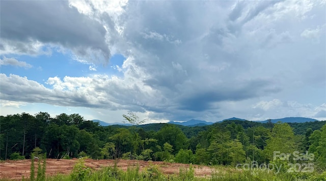 LOT52 Shady Bark Ln, Rutherfordton, NC 28139