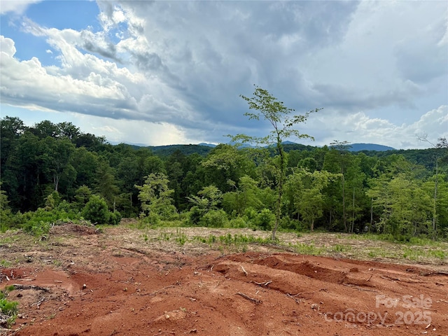 LOT52 Shady Bark Ln, Rutherfordton, NC 28139
