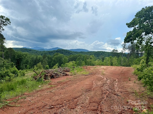 LOT52 Shady Bark Ln, Rutherfordton, NC 28139