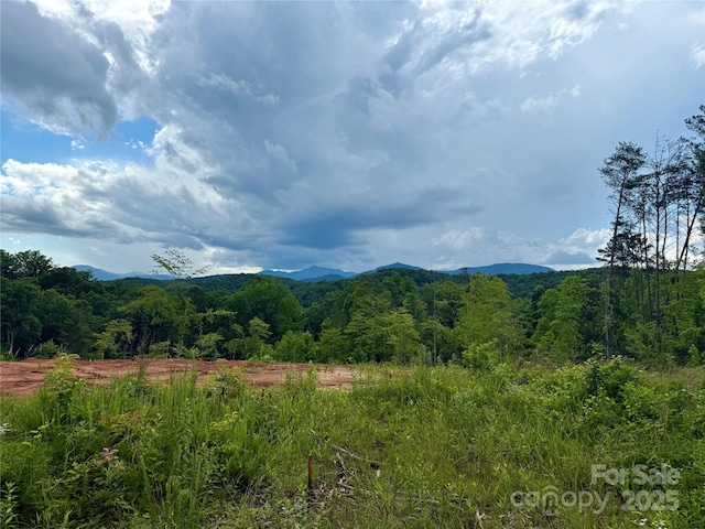 LOT52 Shady Bark Ln, Rutherfordton, NC 28139