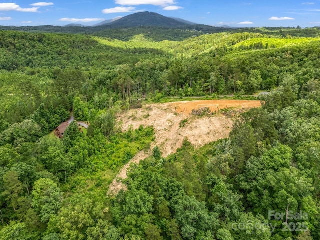 LOT52 Shady Bark Ln, Rutherfordton, NC 28139 - photo 1
