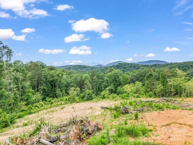 LOT52 Shady Bark Ln, Rutherfordton, NC 28139 - photo 2