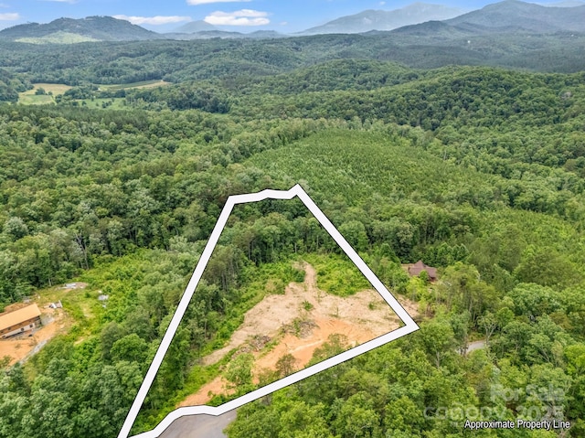 LOT52 Shady Bark Ln, Rutherfordton, NC 28139 - photo 3