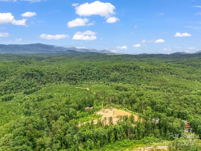 LOT52 Shady Bark Ln, Rutherfordton, NC 28139 - photo 4