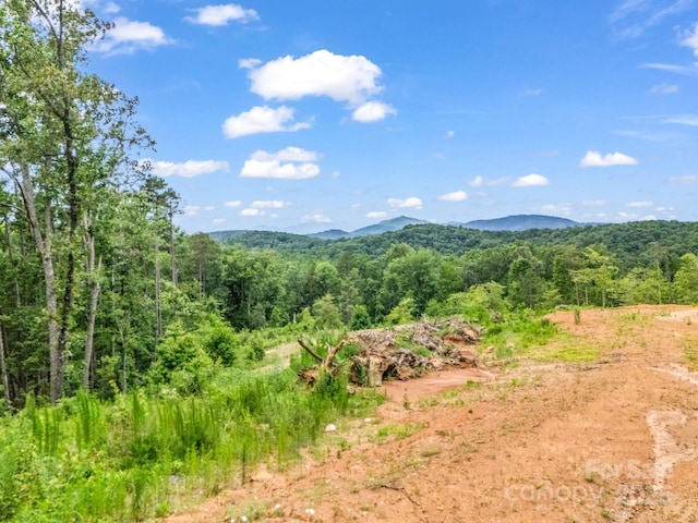 LOT52 Shady Bark Ln, Rutherfordton, NC 28139 - photo 5