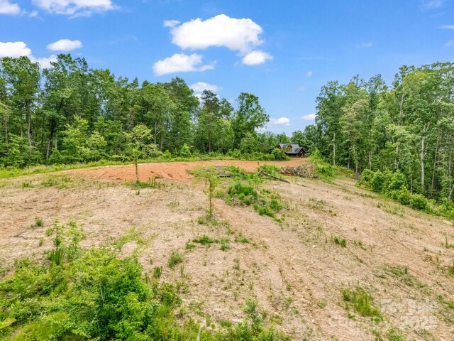 LOT52 Shady Bark Ln, Rutherfordton, NC 28139 - photo 6