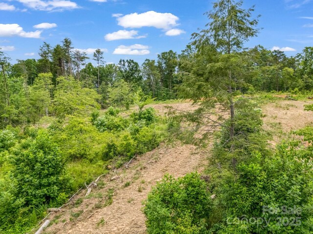 LOT52 Shady Bark Ln, Rutherfordton, NC 28139 - photo 7