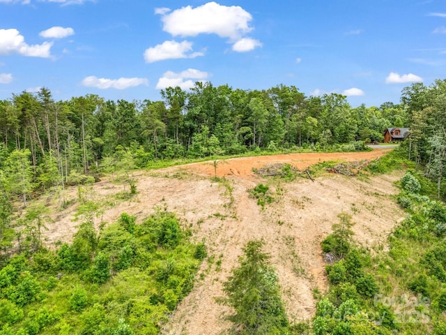 LOT52 Shady Bark Ln, Rutherfordton, NC 28139 - photo 8
