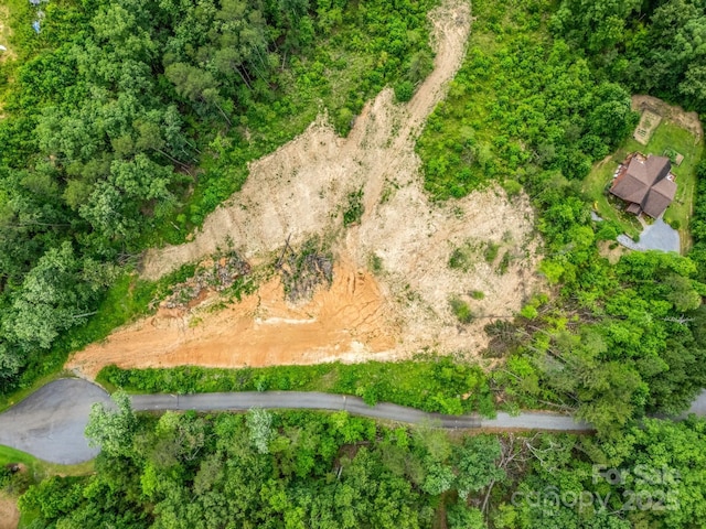 LOT52 Shady Bark Ln, Rutherfordton, NC 28139 - photo 9