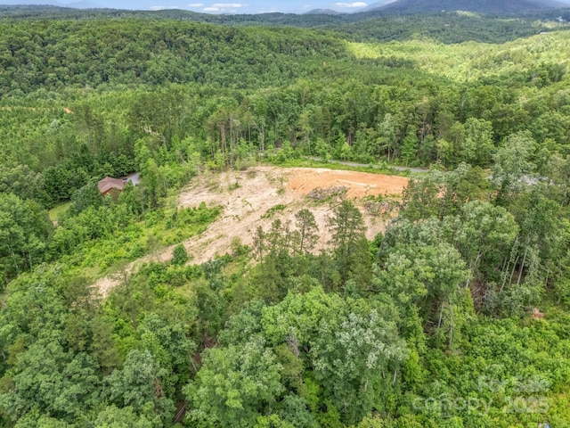 LOT52 Shady Bark Ln, Rutherfordton, NC 28139 - photo 10