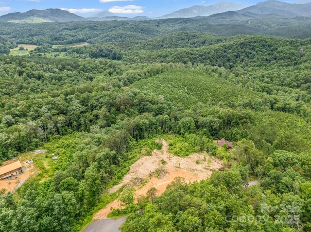 LOT52 Shady Bark Ln, Rutherfordton, NC 28139 - photo 11