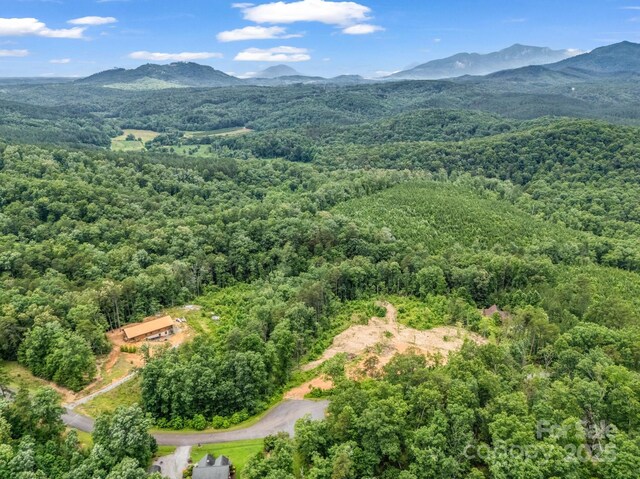 LOT52 Shady Bark Ln, Rutherfordton, NC 28139 - photo 12