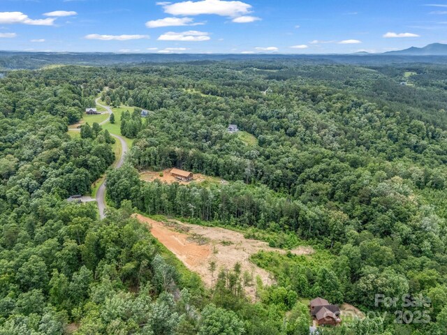 LOT52 Shady Bark Ln, Rutherfordton, NC 28139 - photo 13