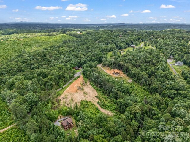LOT52 Shady Bark Ln, Rutherfordton, NC 28139 - photo 14