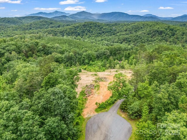 LOT52 Shady Bark Ln, Rutherfordton, NC 28139 - photo 15
