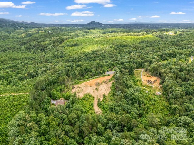 LOT52 Shady Bark Ln, Rutherfordton, NC 28139 - photo 16