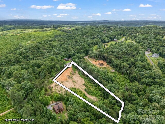 LOT52 Shady Bark Ln, Rutherfordton, NC 28139 - photo 17