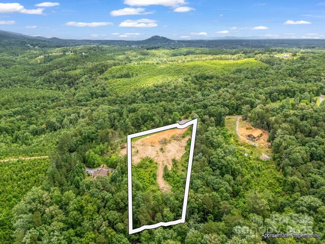 LOT52 Shady Bark Ln, Rutherfordton, NC 28139 - photo 18