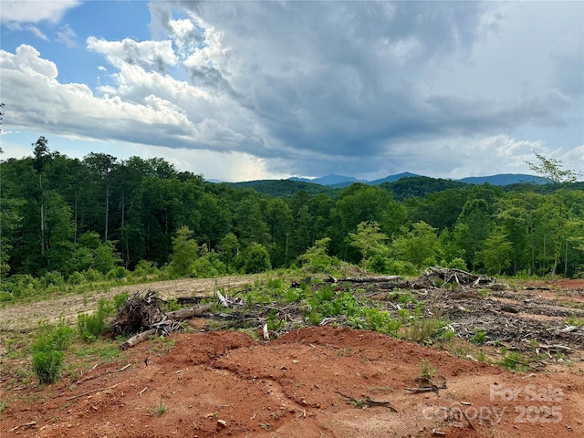 LOT52 Shady Bark Ln, Rutherfordton, NC 28139 - photo 24