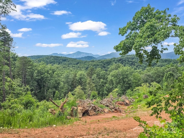 LOT52 Shady Bark Ln, Rutherfordton, NC 28139 - photo 27