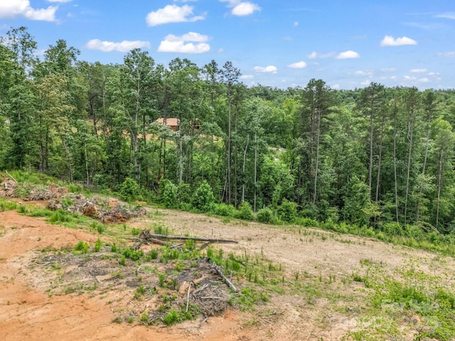 LOT52 Shady Bark Ln, Rutherfordton, NC 28139 - photo 28