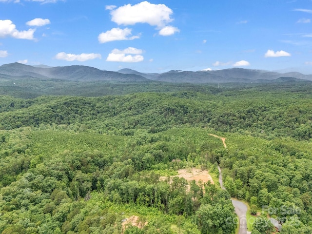 LOT52 Shady Bark Ln, Rutherfordton, NC 28139 - photo 29