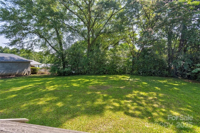 2105 Florida Ave, Kannapolis, NC 28083 - view of green lawn