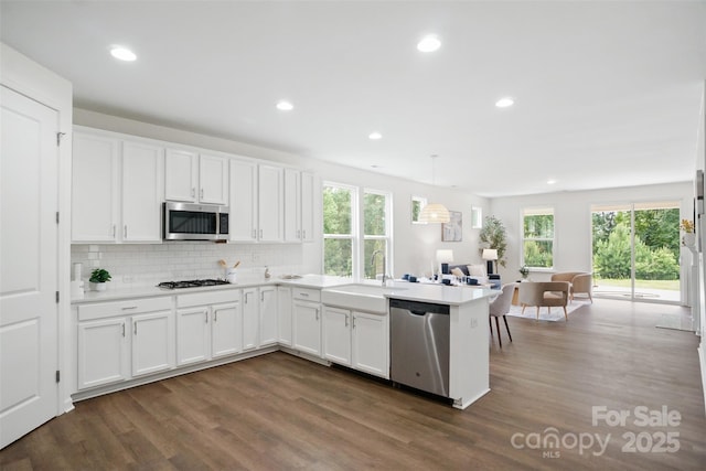 16112 Langston Dr, Charlotte, NC 28278 - kitchen with appliances with stainless steel finishes, a peninsula, tasteful backsplash, dark wood finished floors, and white cabinets