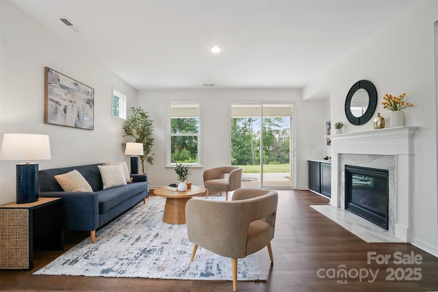 16112 Langston Dr, Charlotte, NC 28278 - living area featuring healthy amount of natural light, wood finished floors, a high end fireplace, and recessed lighting