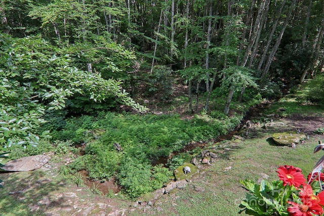 17 Cripple Creek Dr, Waynesville, NC 28785 - photo 5