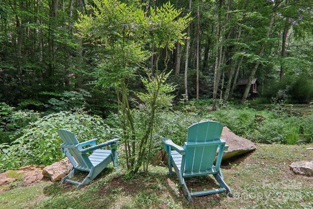 17 Cripple Creek Dr, Waynesville, NC 28785 - photo 12