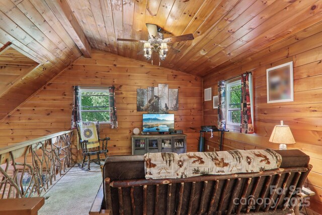 17 Cripple Creek Dr, Waynesville, NC 28785 - photo 14