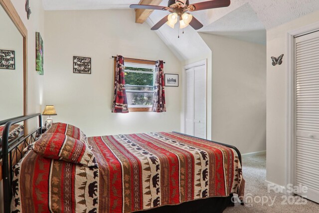 17 Cripple Creek Dr, Waynesville, NC 28785 - photo 16