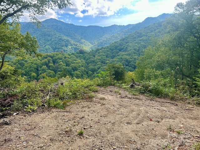 0 Black Rock Crk, Cherokee, NC 28719