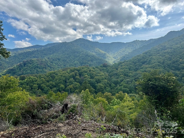 0 Black Rock Crk, Cherokee, NC 28719