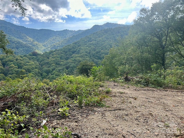 0 Black Rock Crk, Cherokee, NC 28719