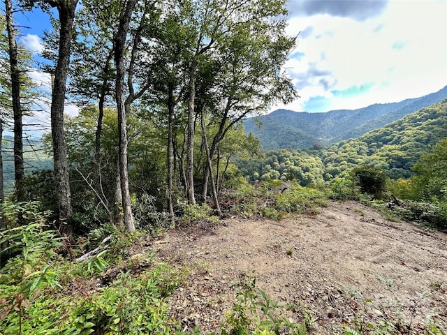 0 Black Rock Crk, Cherokee, NC 28719