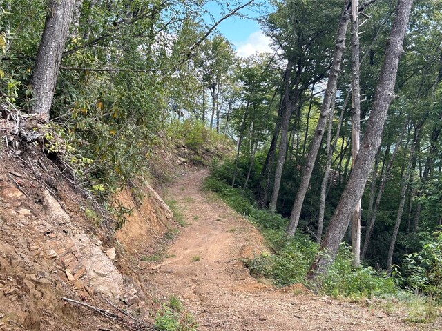 0 Black Rock Crk, Cherokee, NC 28719