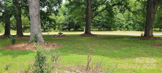 2208 Morehead Rd, Charlotte, NC 28262 - photo 3