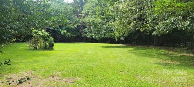 2208 Morehead Rd, Charlotte, NC 28262 - photo 8
