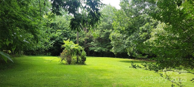 2208 Morehead Rd, Charlotte, NC 28262 - photo 9