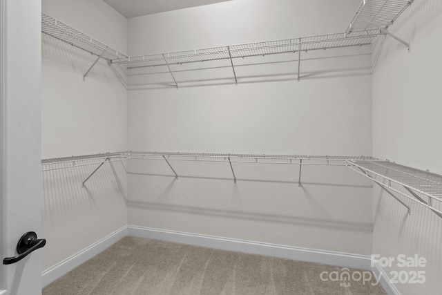 126 Northbridge Dr, Mooresville, NC 28115 - walk in closet featuring carpet floors