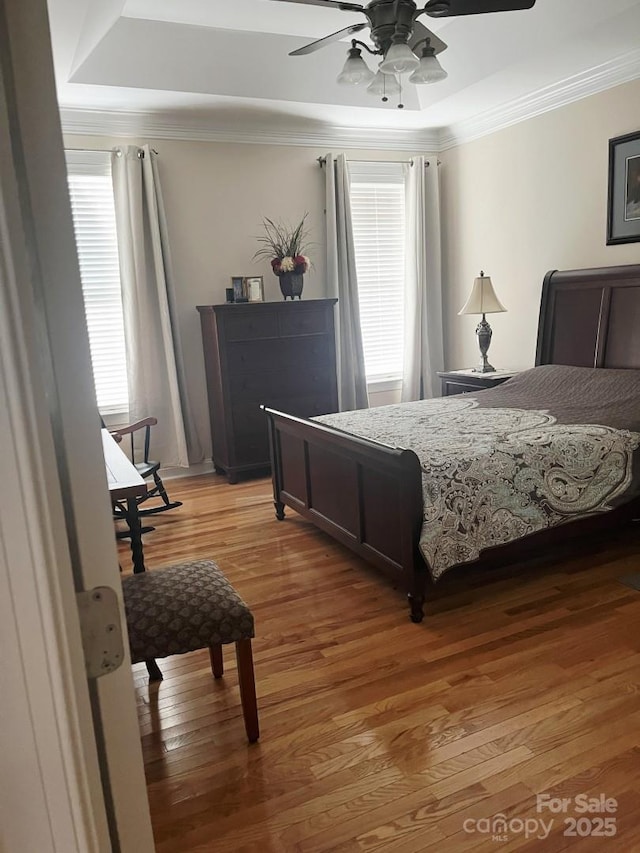2300 Wednesbury Ct, Kannapolis, NC 28083 - bedroom featuring multiple windows, ornamental molding, light wood-style flooring, ceiling fan, and a tray ceiling
