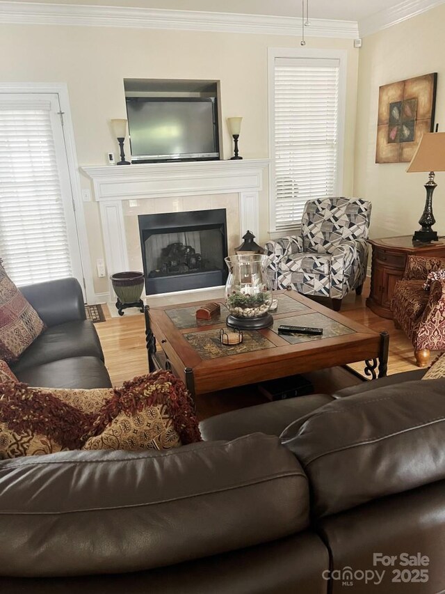 2300 Wednesbury Ct, Kannapolis, NC 28083 - living room with crown molding, light wood finished floors, and a fireplace