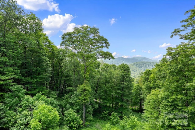 853 Granny Lewis Ln, Mars Hill, NC 28754 - view of mountain background with a heavily wooded area