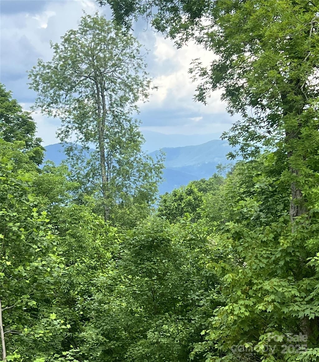 LOT53 Mountain Air Dr Unit 53/1, Burnsville, NC 28714 - photo 1