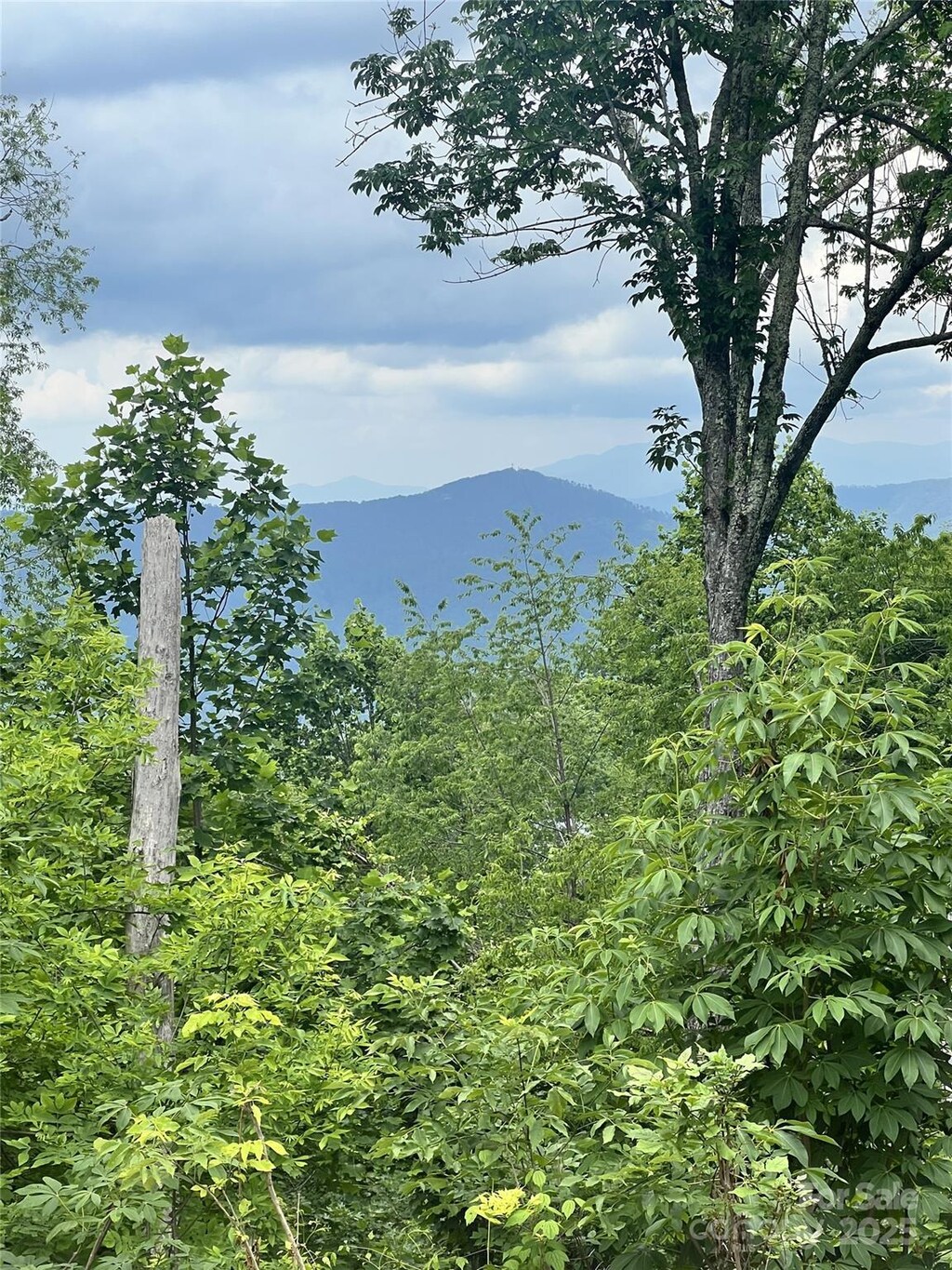 LOT53 Mountain Air Dr Unit 53/1, Burnsville, NC 28714 - photo 2